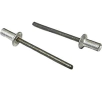 Заклепка ОПМ ISO 15974 4,8x11 Al/St закрытая с потайной головкой 100 шт УТ000146740