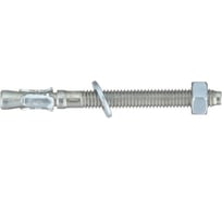 Клиновой анкер Friulsider FM753 M6x65/15 ZN (100 шт) 830921