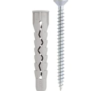 Универсальный дюбель с шурупом Friulsider 10x65 XP 831004
