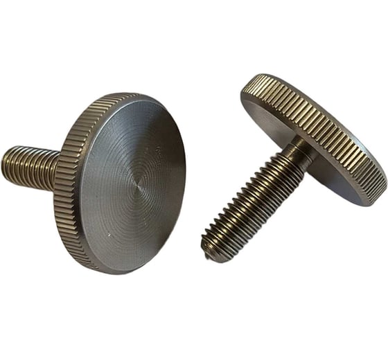 Винт прижимной boltnn.ru DIN 653 нержавеющий 5x16 А2 2шт 4687206931244 1