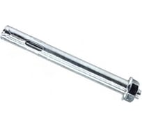 Анкерный болт с гайкой PRO-metizi.ru STR 16x150, М12 (1 шт.) MTZ1100923