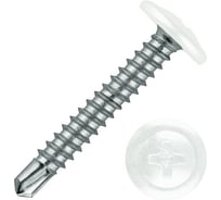 Саморез STARFIX 4.2x19 мм с прессшайбой, цинк, со сверлом, RAL 9003 (12000 шт в коробе) SM-55677-12000