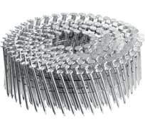 Барабанные гвозди для сайдинга оцинкованные Зубр CSN 38x2.1 мм, 14000 шт 305386-38