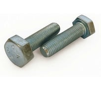 Болт boltnn.ru DIN961 М10x1х30 10.9 цинк 250 шт 4687206951174