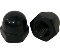 Гайка колпачковая boltnn.ru DIN 1587 М8 6.0 цинк-никель черный 20 шт 4687206951327