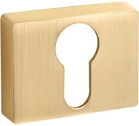 Накладка на цилиндр PUERTO, золото матовое, сатинированное, INET AL 01 SSG