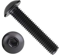 Винт чёрный 23 Болта 10x25 ISO 7380 под шестигранник к.п.10.9, 100 шт. впгвш10257380109ф100
