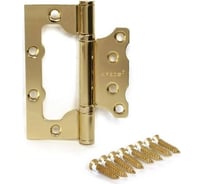 Петля накладная Apecs 100*75*2,5-B2-Steel-G-Blister 18046