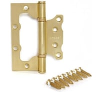 Петля накладная Apecs 100*75*2,5-B2-Steel-GM-Blister 18050