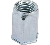 Заклепка-гайка ЦКИ М10, плоск., уменьш., шестигранная, СТ. Ц BRALO, 10 шт 6455407