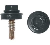 Саморез кровельный BISKREP 4.8x19 RAL 7024 графитовый серый, 70 шт)-пл.конт 280 мл 1-20644