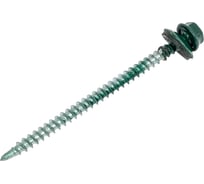 Саморез кровельный BISKREP 4.8x76 RAL 6005 зеленый мох, 30 шт, пл.конт 280 мл 1-20681
