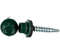 Саморез кровельный BISKREP 5.5x25 RAL 6005 зеленый мох(250 шт, пл.конт 1000 мл 1-20639