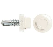 Саморез кровельный BISKREP 5.5x25 RAL 9003 белый, 60 шт, пл.конт 280 мл 1-20700