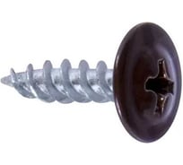 Саморез BISKREP ШСММ 4.2x19 RAL 8017 коричневый, 300 шт, пл.конт. 280 мл 1-00790