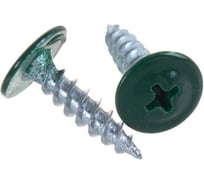 Саморез BISKREP ШСММ 4.2x25 RAL 6005 зеленый мох(250 шт, пл.конт. 280 мл 1-00793