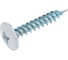 Саморез BISKREP ШСММ 4.2x25 RAL 9003 белый, 250 шт, пл.конт. 280 мл 1-00795 2