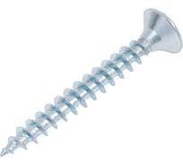 Саморез BISKREP ШУЦ 5.0x40, 170 шт, пл.конт 500 мл 2-00365