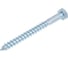 Шуруп сантехнический BISKREP 12x120 (20 шт) -пакет 2-00691 1