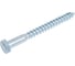 Шуруп сантехнический BISKREP 12x120 (20 шт) -пакет 2-00691 2