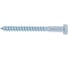 Шуруп сантехнический BISKREP 12x120 (20 шт) -пакет 2-00691 3