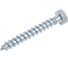 Шуруп сантехнический BISKREP 8x60 (100 шт) -пакет 2-00717 1