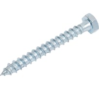 Шуруп сантехнический BISKREP 8x70 (70 шт) -пакет 2-00718