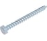 Шуруп сантехнический BISKREP 6x60 (160 шт) -пакет 2-00706 2