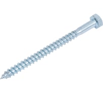 Шуруп сантехнический BISKREP 6x80 (100 шт) -пакет 2-00708