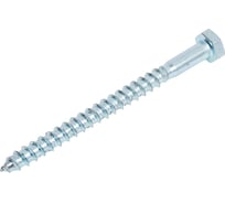 Шуруп сантехнический BISKREP 8x100 (65 шт) -пакет 2-00710