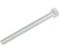 Болт BISKREP DIN 933 М5x50 цинк (55 шт) -пл.конт 280 мл 8-00944