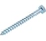 Шуруп сантехнический BISKREP 8x80 (22 шт) -пл.конт 280 мл 2-00735 2