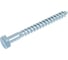 Шуруп сантехнический BISKREP 8x80 (22 шт) -пл.конт 280 мл 2-00735 3