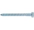 Шуруп сантехнический BISKREP 8x80 (22 шт) -пл.конт 280 мл 2-00735 4