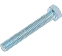 Болт BISKREP DIN 933 М6x40 цинк (60 шт) -пл.конт 280 мл 8-00952