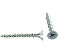 Саморез ШУЦ BISKREP 6.0x80, 75 шт, пл.конт 500 мл 2-00376