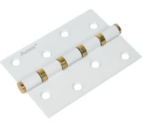 Врезная петля AVERS 100х70х2,5-B4-W/G-Blister-DIY 27394