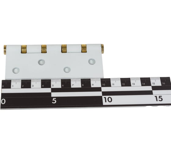 Врезная петля AVERS 100х70х2,5-B4-W/G-Blister-DIY 27394