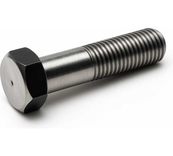 Болт с неполной резьбой ООО ЭКОМАРКЕТ ГОСТ 7798-70 М24x60, 1 шт 9004500000004 1