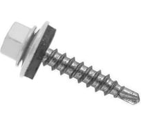 Саморез кровельный ООО Иж-Тандем 5,5x19мм, (RAL 9003 сигнальный белый), с шестигранной головкой, крашеный, 250шт 135036