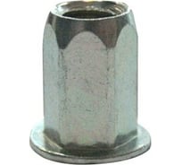 Заклепка-гайка ЦКИ М10, плоск., уменьш., 1/2 шестигранная, A2, REX, уп. 250 шт. 62008