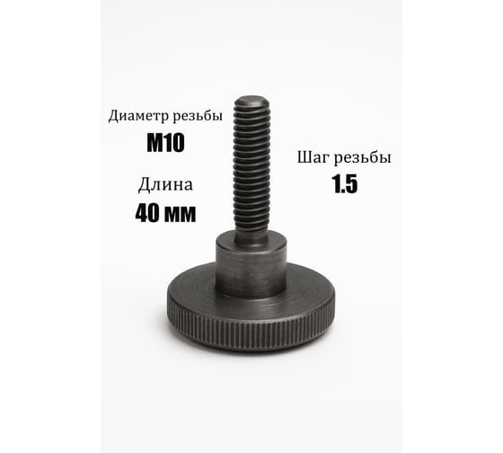 Винт с накаткой ООО ЭКОМАРКЕТ Din 465, М10*40 (1 шт) 9007600000059