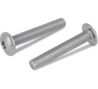 Винт EDELFIX ISO 7380-2 M8x20/20 мм А2 полукр. гол. внутр. шестигр. и прессшайбой, 20 шт. 738022820 20