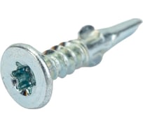 Шуруп флюгель Rusconnect CWM4825  (Flugel, JFL) потай 4,8x25 (500 шт) для крепления дерева к металлу TORX25 314825