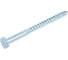 Шуруп сантехнический ЦММ GL, 10x120, глухарь, DIN571, 25 шт 0Т-00010783 2