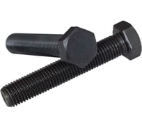 Болт Reyher DIN 933, 3/4"х2 1/2" UNC дюймовая, пр. 10.9, ОКС, 25 шт. 66846