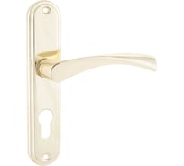 Комплект ручек Аллюр 103-1 55 мм GP латунь 1054