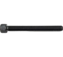 Винт ЦКИ DIN912 М12х110, 12.9 ОКС 25 шт. 50518