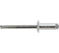 Заклепки STEELFIX 4,0х6 (200шт) сталь/сталь, оцинк. ЗК03001