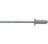 Заклепки STEELFIX 3,2х8 RAL 7004 серый (200шт) алюминий/сталь, оцинк. ЗК03027